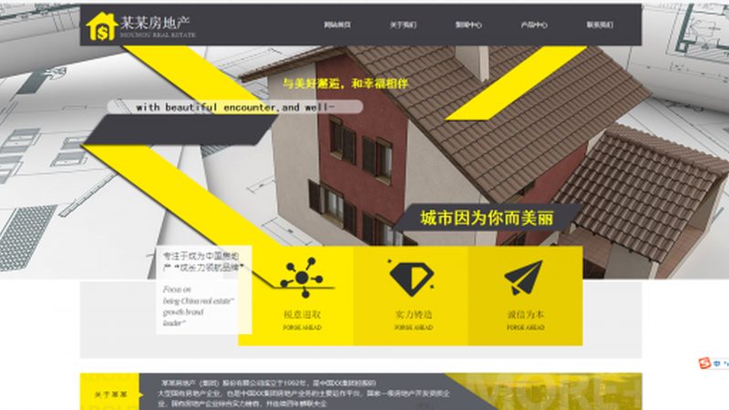 网站建设与网站开发的差异解析：优缺点对比